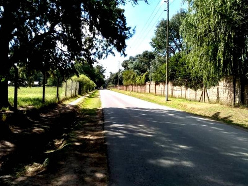 Imagen 4 de 12 de Venta De 4 Hectáreas En Villa Astolfi - Ideal Desarrollo