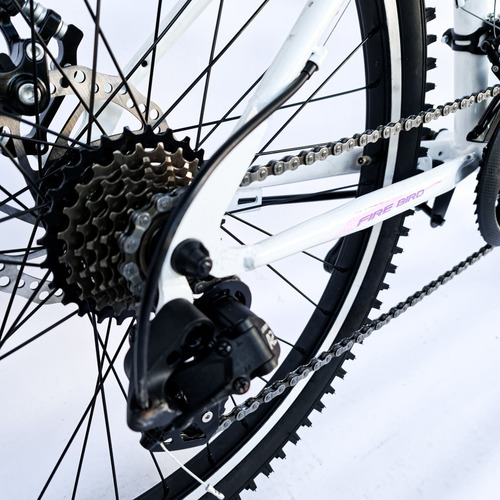 Imagen 4 de 7 de Bicicleta Mtb Fire Bird Honey Rodado 24