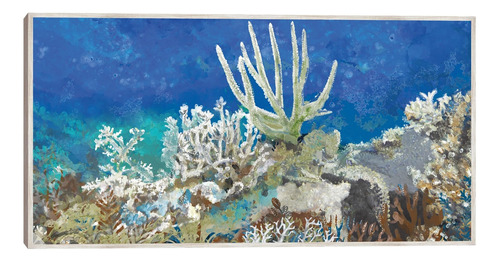 Cuadro Decorativo - Arrecife De Coral