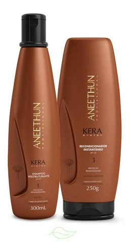 Kit Aneethun Kera System Shampoo E Recondicionador