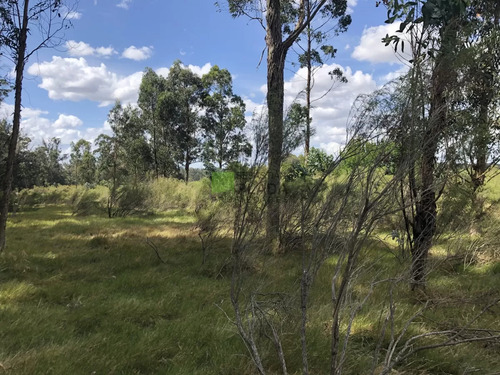 Lote Esquinero 1229 Metros Cobre Camino Eguzquiza En Venta En El Tesoro