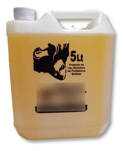 Shampoo Estilista De Uso Profesional,  5 Lt Diapo