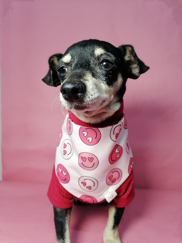 Set 3 Bandanas Para Mascotas San Valentín Color