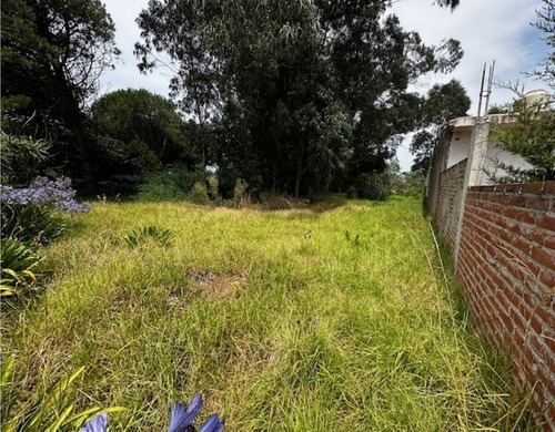 Terreno En Venta En San Patricio