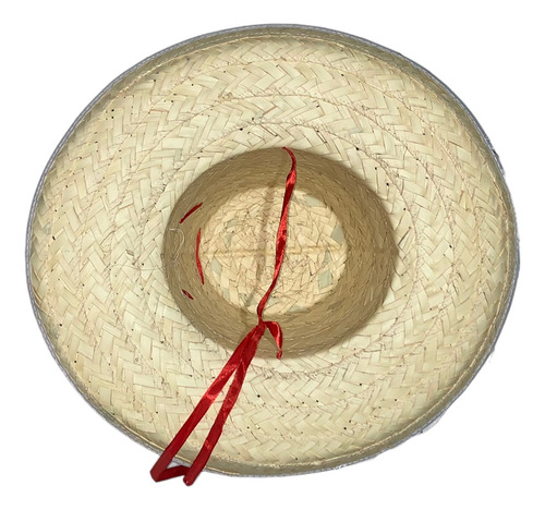 5 Sombrero Michoacano Palma Adulto Liston Mexicano