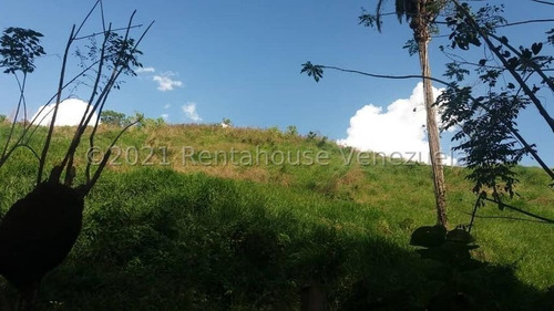 Imagen 15 de 24 de Angelica Nati Rent A House Finca En Venta Vallecito Tinaquillo Cojedes Cod 22m6016 Ar