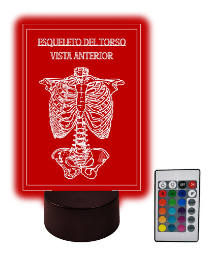 Lámpara Acrílica Anatomía Vintage Torso Huesos 16 Colores