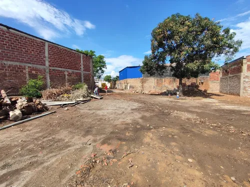 Lote En Arriendo En La Insula. Cod A25720