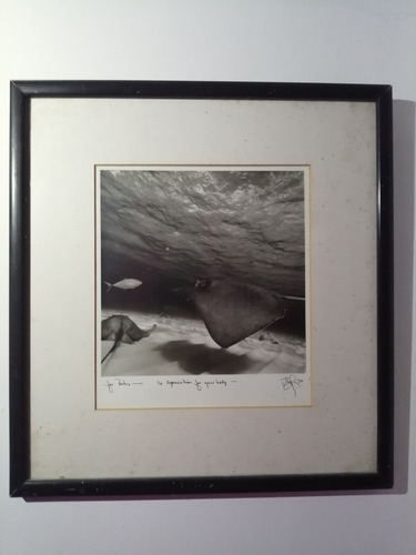 Fotografia Original Firmada Edward Mapplethorpe 8x9 Pulgadas