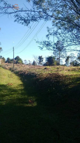 Chácara Com 2 Dormitórios À Venda, 350 M² Por R$ 2.000.000,00 - Costinha - São José Dos Campos/sp - Ch0105