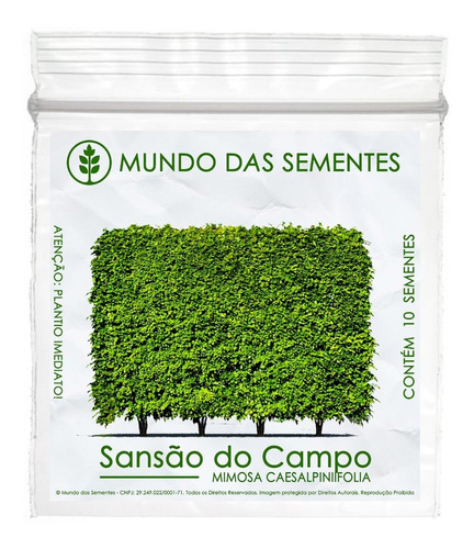 10 Sementes Sansão Do Campo Cerca Viva Mimosa Frete Simples