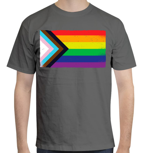 Playera Orgullo Lgtb - Pride - Bandera