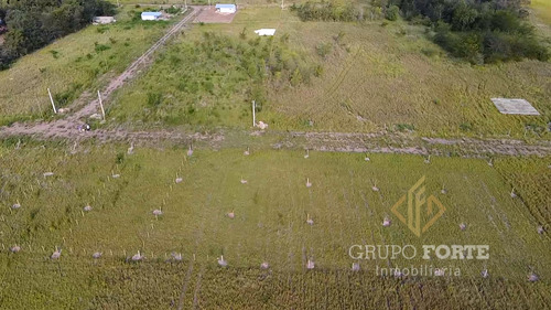 Imagen 1 de 29 de Lotes En Quillinzo