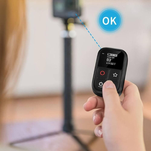 Controle Remoto Com Lcd Gopro Hero 8,9,10 E Max - Telesin