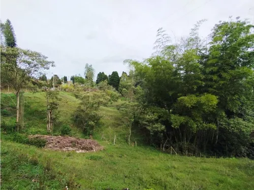 Venta De Lote En Guarne, Vereda Hojas Anchas