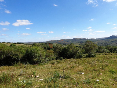 17 Has, Vistas Serranas, Monte Nativo, Arroyo Y A 1 Hora De Mdeo...- Ref: 26461