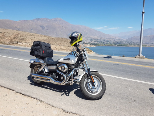Imagen 11 de 11 de Harley Davidson Fat Bob 2011