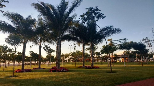 Imagem 4 de 10 de Casas - Ref: V3646