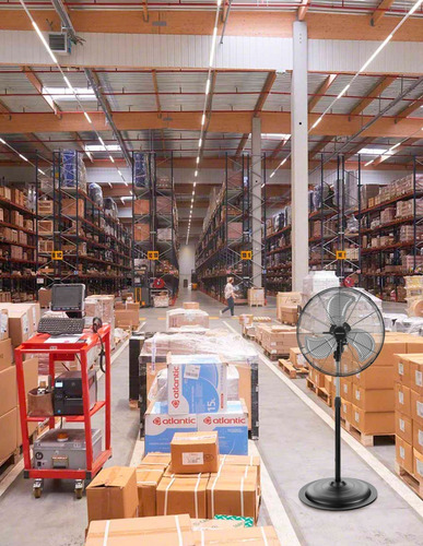 Imagen 6 de 10 de Ventilador De Pedestal Premium Uso Industrial Beckon - 50cm