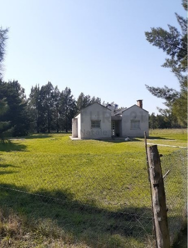 Imagen 3 de 12 de Campo De 9 Hectáreas - Av. 44 252 Y 254. 5 Parcelas Con Partidas Individuales.-