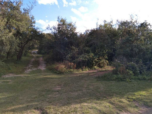 Imagen 3 de 6 de Terreno En Venta En Cabana Excelente Oportunidad