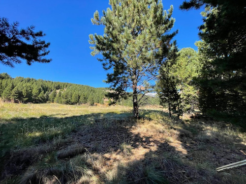 Imagen 9 de 16 de Terreno En Venta El Desafio Mountain