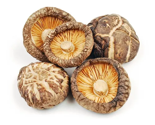 Cogumelo Shitake Desidratado 100g