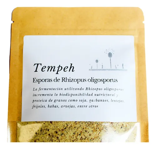 Tempeh Hongo Comestible Rhizopus Oligosporus Proteina Vegana