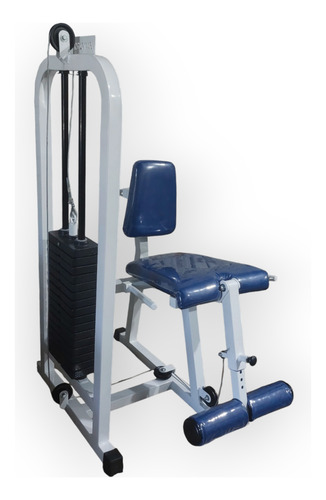 Maquina De Piernas Sillon Cuadriceps Gimnasio Gym Banco