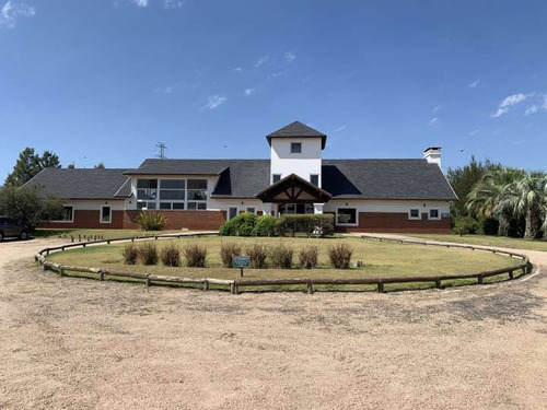 Imagen 7 de 13 de Venta Terreno De 1600m2 En Colinas De Carrasco