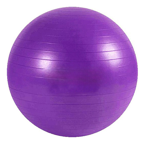 Pelota Yoga Esferodinamia Suiza 65 Cm Gym Pilates Ball Color Violeta