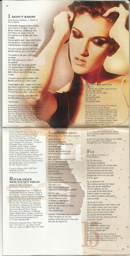 Imagen 5 de 9 de Cd Celine Dion - Falling Into You 1995 Epic - Canadá