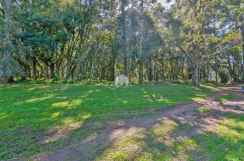 Imagem 6 de 21 de Área - Comercial/residencial - 932545