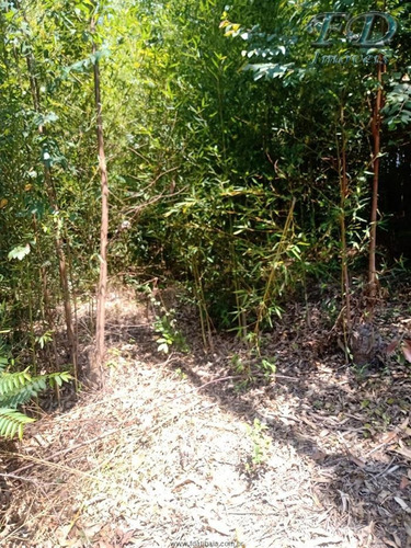 Imagem 2 de 7 de Terrenos À Venda Em Mairiporã/sp - Compre O Seu Terrenos Aqui! - 1496299