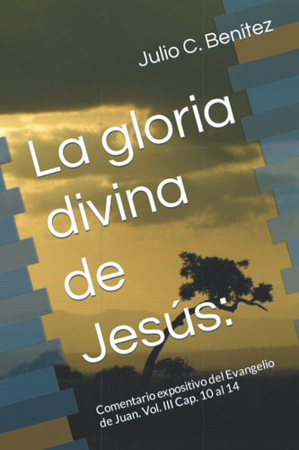 Libro La Gloria Divina Jesús Comentario Expositivo Del