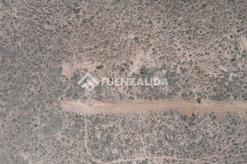 22 Parcelas De 5,000 M2 En Venta El Hinojal,valle De Elqui.