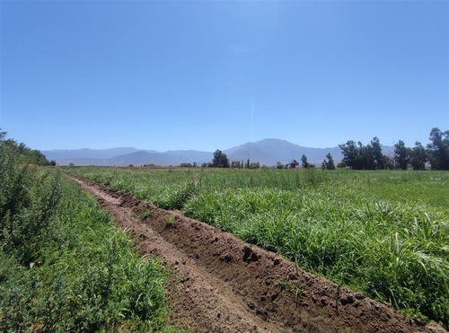 Terrenos Agrícolas Con Agua Venta María Pinto Curacavi