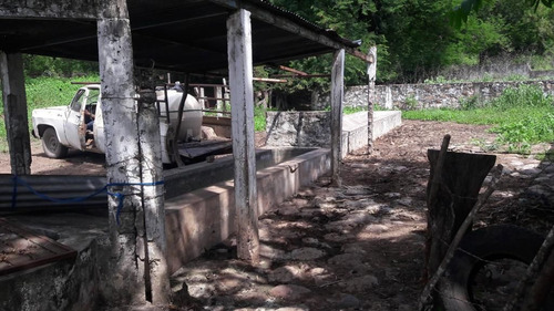 Rancho En Venta En Veracruz Carretera Paso De Ovejas