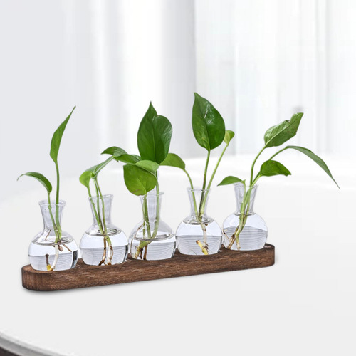 Florero De Vidrio, Planta, Terrario, Contenedor De Terrario,