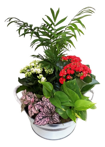 Arreglos Florales Para Abuelitas Planta