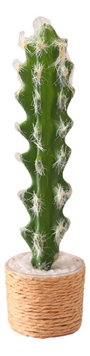 Jarrón De Cactus En Miniatura 1:6 Para Plantas En Maceta Y Á