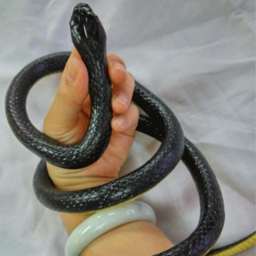 Serpiente De Goma Broma De Serpiente Falsa Juguete De Broma