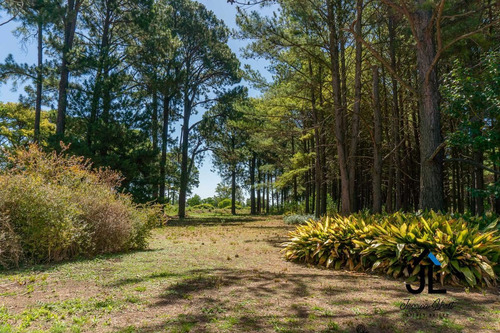 Imagen 2 de 15 de Oportunidad Venta De Dos Lotes Juntos En E1 De Pinares Cc