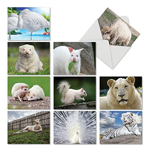10 Tarjetas De Visitas En Blanco Con Animales (4 X 5,12 )