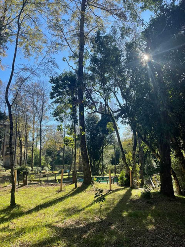 Lindo Departamento (79616)