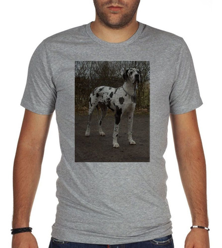 Remera De Hombre Perro Gran Danes Negro Y Blanco