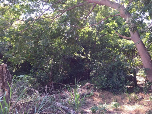 Imagen 5 de 12 de Excelente Terreno En Venta En La Peninsula De Las Hadas