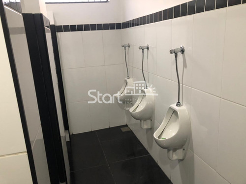 Imagem 22 de 24 de Casa Para Aluguel Em Jardim Novo Cambuí - Ca007439