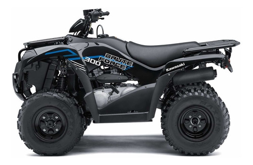 Imagen 19 de 25 de Kawasaki Brute Force 300 2022
