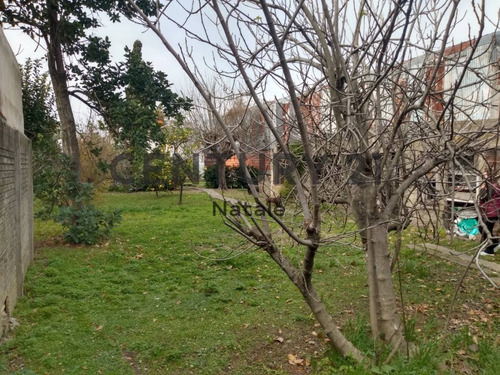 Imagen 10 de 14 de Lote En Venta. 524 E/ 134 Y 135. San Carlos, La Plata